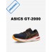 Кроссовки ASICS GT-2000 10