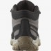 Ботинки SALOMON SHELTER WP W