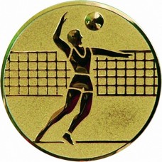 Вкладыш для медали D1-A6/G волейбол (D-25 мм)